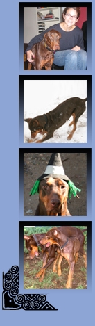 BELLAthumbs1