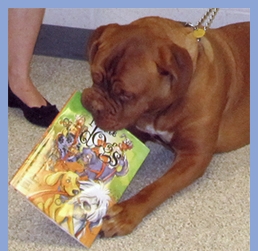 eventTPdog