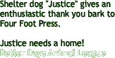 Shelter dog "Justice" gives an 