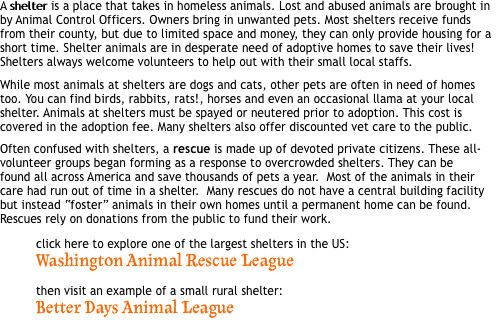 A shelter is a place