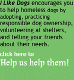 I LIke Dogs encourages you