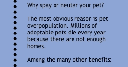 meet the illustrator