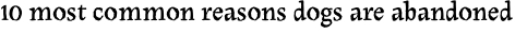 10 most common reasons dogs