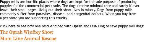 Puppy mills are horrific places